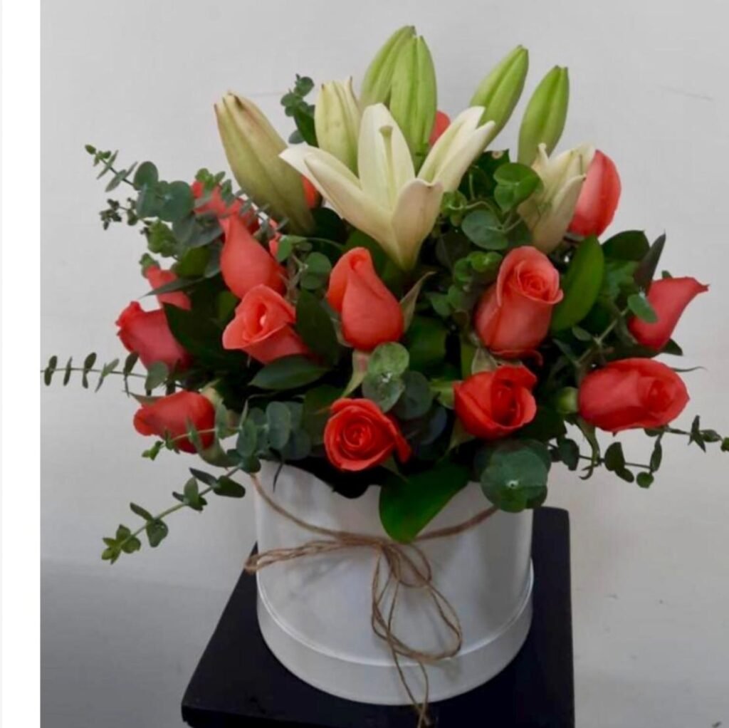 Caja Coral Encanto