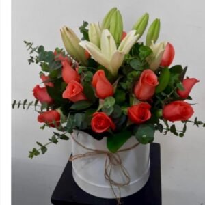 Caja Coral Encanto