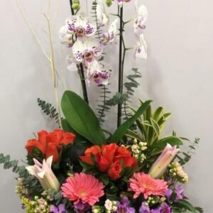 Arreglo Tropical de Orquídeas, Rosas y Gerberas