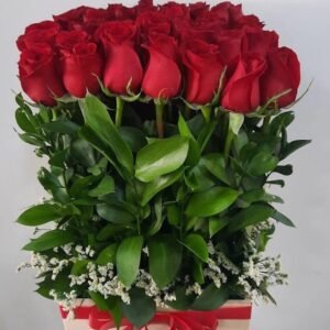 Caja de Rosas Rojas – Amor y Pasión